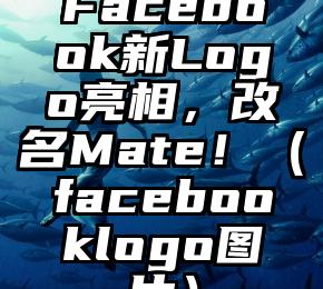 Facebook新Logo亮相，改名Mate！（facebooklogo图片）