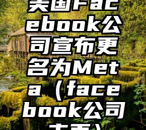 美国Facebook公司宣布更名为Meta（facebook公司主页）