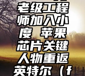 大厂人事 | Facebook元老级工程师加入小度 苹果芯片关键人物重返英特尔（facebook软件工程师年薪）