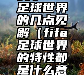 关于fifa足球世界的几点见解（fifa足球世界的特性都是什么意思）