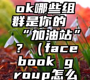 Facebook哪些组群是你的“加油站”？（facebook group怎么添加）