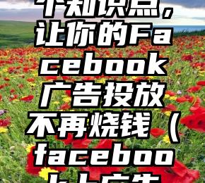 了解这4个知识点，让你的Facebook广告投放不再烧钱（facebook上广告投放）