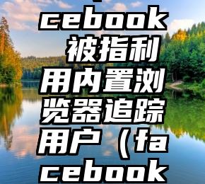 Instagram、Facebook 被指利用内置浏览器追踪用户（facebook看得到访客吗）