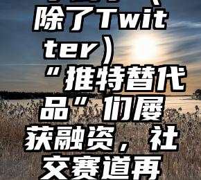 学到了（除了Twitter）“推特替代品”们屡获融资，社交赛道再度火热，