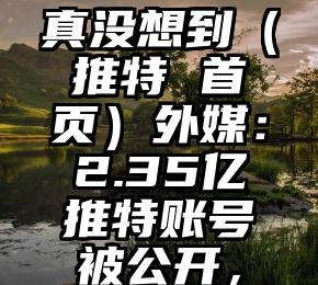 真没想到（推特 首页）外媒：2.35亿推特账号被公开，