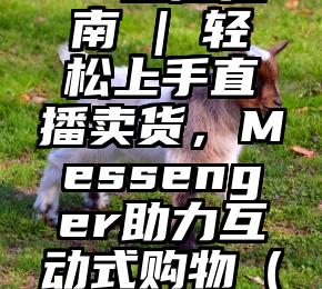 Facebook直播指南 | 轻松上手直播卖货，Messenger助力互动式购物（facebook直播间）