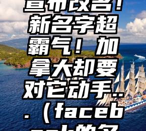 昨天！Facebook宣布改名！新名字超霸气！加拿大却要对它动手...（facebook的名字可以改吗）