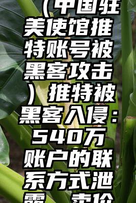 奔走相告（中国驻美使馆推特账号被黑客攻击）推特被黑客入侵：540万账户的联系方式泄露，卖价3万美元，