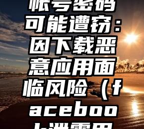 Facebook警告100万用户帐号密码可能遭窃：因下载恶意应用面临风险（facebook泄露用户数据侵犯了用户什么权?）