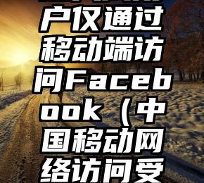 超八成用户仅通过移动端访问Facebook（中国移动网络访问受限）