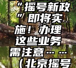 一年摇2次！北京“摇号新政”即将实施！办理这些业务需注意……（北京摇号多长时间一次申请）