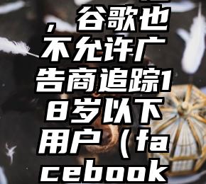 继 Facebook 后，谷歌也不允许广告商追踪18岁以下用户（facebook广告账户怎么开通）