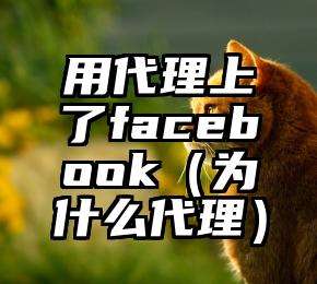 用代理上了facebook（为什么代理）