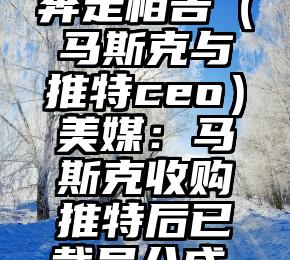 奔走相告（马斯克与推特ceo）美媒：马斯克收购推特后已裁员八成，