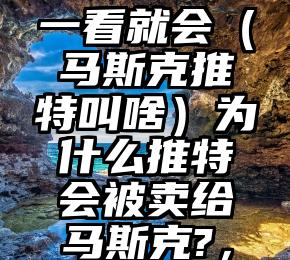 一看就会（马斯克推特叫啥）为什么推特会被卖给马斯克?，