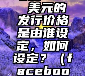 Facebook 上市每股 38 美元的发行价格是由谁设定，如何设定？（facebook股票历史最低价格）