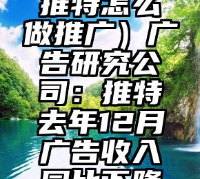 奔走相告（推特怎么做推广）广告研究公司：推特去年12月广告收入同比下降71%，