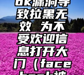 Facebook漏洞导致拉黑无效 为不受欢迎信息打开大门（facebook被误封）