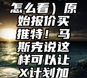 速看（马斯克推特怎么看）原始报价买推特！马斯克说这样可以让X计划加速3至5年，