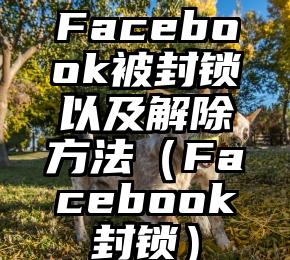 Facebook被封锁以及解除方法（Facebook封锁）