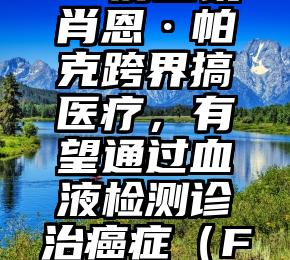 Facebook前总裁肖恩·帕克跨界搞医疗，有望通过血液检测诊治癌症（Facebook高管）