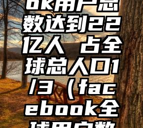 Facebook用户总数达到22亿人 占全球总人口1/3（facebook全球用户数量）