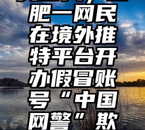 干货满满（在合肥的美国人）合肥一网民在境外推特平台开办假冒账号“中国网警”欺他人，被警方教育批评，