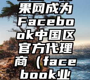 官宣：雨果网成为Facebook中国区官方代理商（facebook业务范围）