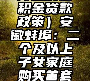 居然可以这样（蚌埠住房公积金贷款政策）安徽蚌埠：二个及以上子女家庭购买首套房公积金最高可贷70万元，