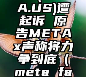 Facebook更名Meta(META.US)遭起诉 原告METAx声称将力争到底（meta facebook install apps）