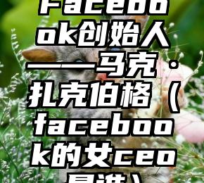 Facebook创始人——马克·扎克伯格（facebook的女ceo是谁）