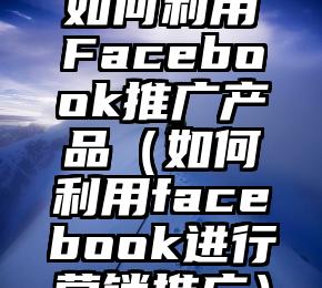 如何利用Facebook推广产品（如何利用facebook进行营销推广）