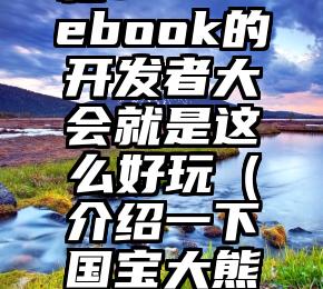 有图有真相：Facebook的开发者大会就是这么好玩（介绍一下国宝大熊猫作文400字）