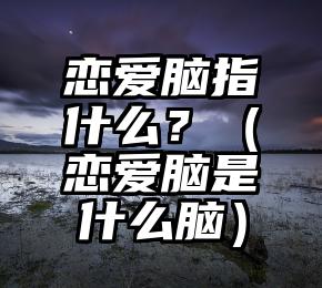 恋爱脑指什么？（恋爱脑是什么脑）