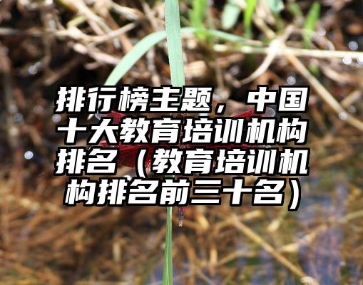 排行榜主题，中国十大教育培训机构排名（教育培训机构排名前三十名）