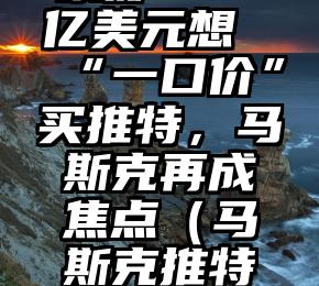 豪掷430亿美元想“一口价”买推特，马斯克再成焦点（马斯克推特最新动态）