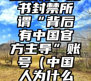 外交部回应推特、脸书封禁所谓“背后有中国官方主导”账号（中国人为什么不能上推特,脸书?）