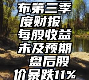 Facebook母公司Meta发布第三季度财报 每股收益未及预期 盘后股价暴跌11%（bmi正常值范围是多少）