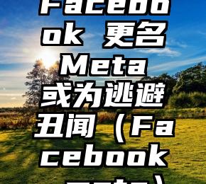 Facebook 更名 Meta 或为逃避丑闻（Facebook meta）