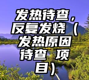 发热待查，反复发烧（发热原因待查 项目）