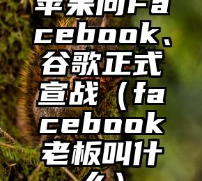 苹果向Facebook、谷歌正式宣战（facebook老板叫什么）