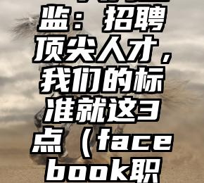 Facebook人力总监：招聘顶尖人才，我们的标准就这3点（facebook职位任命结构关系图）