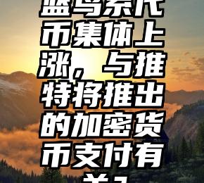 蓝鸟系代币集体上涨，与推特将推出的加密货币支付有关？