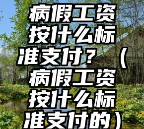 病假工资按什么标准支付？（病假工资按什么标准支付的）