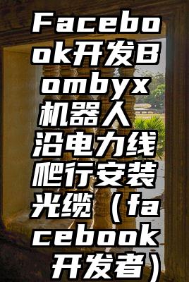 Facebook开发Bombyx机器人 沿电力线爬行安装光缆（facebook 开发者）