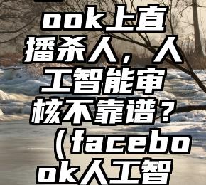 在Facebook上直播杀人，人工智能审核不靠谱？（facebook人工智能实验室）