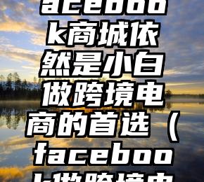 2022年facebook商城依然是小白做跨境电商的首选（facebook做跨境电商好做吗）