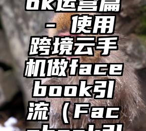 Facebook运营篇 - 使用跨境云手机做facebook引流（Facebook引流）