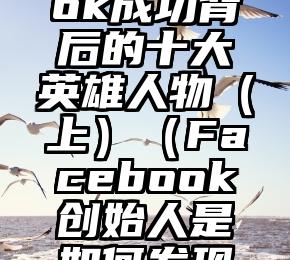 Facebook成功背后的十大英雄人物（上）（Facebook创始人是如何发现机会的）