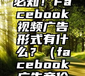 跨境卖家必知！Facebook视频广告形式有什么？（facebook广告竞价方式）